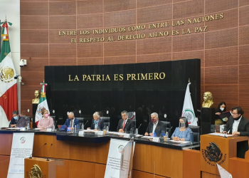 Reconoce la OPS en el Senado estrategia de México contra el COVID-19, la califica de moderna y acertada