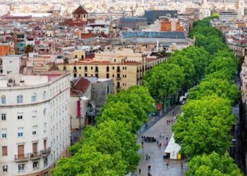 Datos satelitales confirman que los árboles enfrían las urbes, estudio