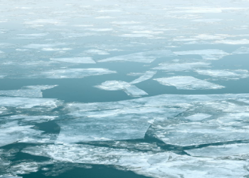 Descubren el genoma de 500 microorganismos del Ártico, el 80 % desconocidos