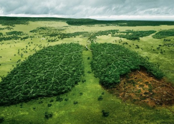Estamos ante una lamentable crisis climática, que demanda acciones inmediatas ante los cambios en la temperatura: Cynthia Menéndez