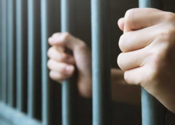 Aprueba el Senado reforma para castigar con cárcel a quien robe, vacunas y medicamentos