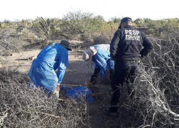 Localizan 18 cuerpos en fosas clandestinas en Sonora