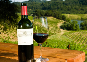 Cerca de 1 millón de turistas visitan la ruta del vino; son destinos de inversión: Delgado