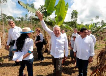 Pacto de COP26 sobre reforestación, inspirado en Sembrando Vida, afirma López Obrador