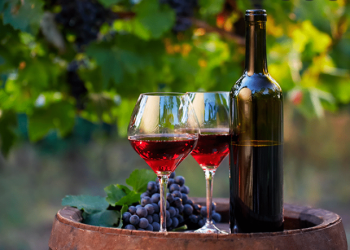 Conoce la recomendación de nuestra sommelier Pilar Meré sobre los vinos de Napa