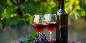 Conoce la recomendación de nuestra sommelier Pilar Meré sobre los vinos de Napa