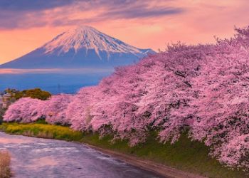 Descubre tus sentidos por medio de la relajación