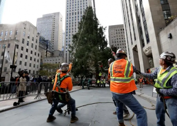 Llega a Nueva York árbol del Rockefeller Center que marca inicio de Navidad