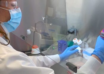 EMA estudia la solicitud de un anticuerpo monoclonal para tratar COVID 19