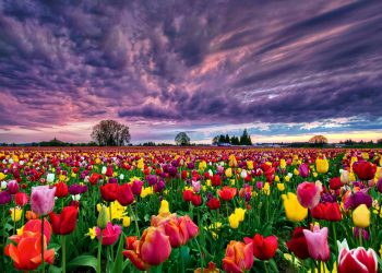 Suelta tus preocupaciones por medio de la respiración