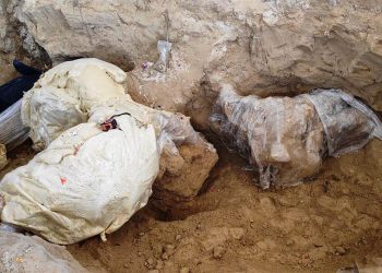 Encuentran restos de un mamut de hace más de 10 mil años en Puebla
