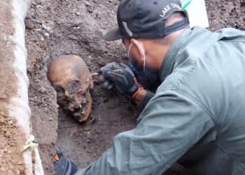 Hallan restos humanos que datan del Siglo XIX en la CDMX