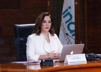 Descarta Ibarra agravio al presidente por controversia en contra del decretazo