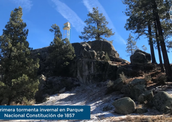 Enfoque al Instante: se registra la primera tormenta invernal en Parque Nacional Constitución de 1857