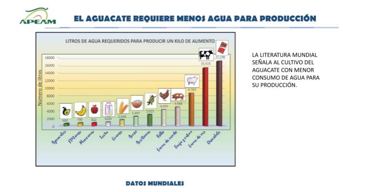 Aguacateros se están acabando el agua de Michoacán