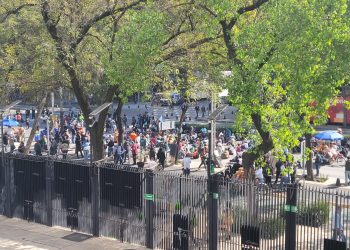 Reciben senadores a la comunidad del CIDE