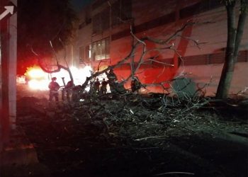 Caída de árbol muerto deja sin luz a vecinos en BJ