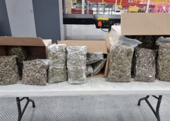 Aseguran en el Aeropuerto de Querétaro, cargamento de marihuana