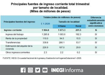 Descendió casi 10% el ingreso de las familias en 2020