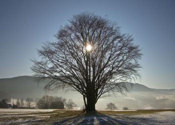 Este martes a las 9:59 am inicia el invierno