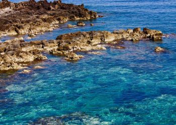 Confinamiento por la COVID-19 mejoró la calidad del agua del Mediterráneo