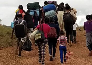 Migrantes en EU no tendrán accesos a servicios y seguridad: Guillén