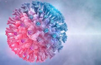 Las vacunas inducen menos anticuerpos neutralizantes contra la ómicron