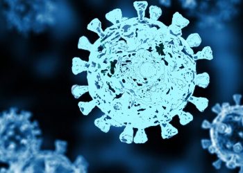 No hay muertes vinculadas a ómicron: OMS