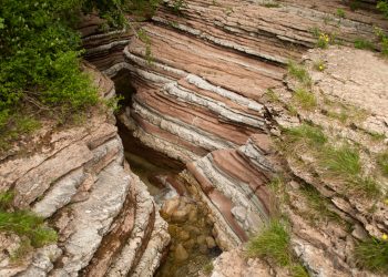 ¡Increíble! descubren una conexión secreta entre Panamá y las Galápagos