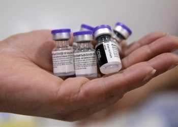 Combinar vacunas de Sinovac y Pfizer es seguro, concluye estudio