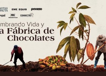 ¿Qué relación hay entre el programa Sembrando vidas y el negocio del hijo de AMLO?