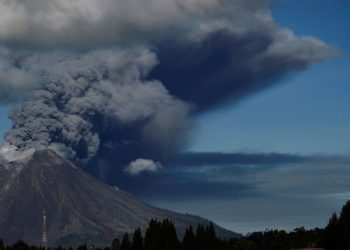 Las 5 de Enfoque Noticias