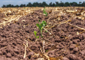 Lanzan laboratorios de suelo para avanzar en la recuperación y cuidado de los suelos agrícolas