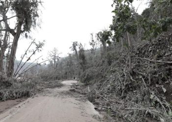Aumenta a 43 el número de muertos por erupción de volcán Semeru