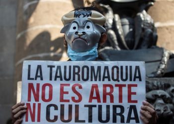 Grupo antitaurino presiona al Congreso de la CDMX para prohibir corridas