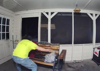 Un hombre en Florida se enfrenta a oso para proteger a sus perros