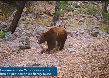 Enfoque al Instante: Campo Verde cumple 84 años como área de protección de flora y fauna