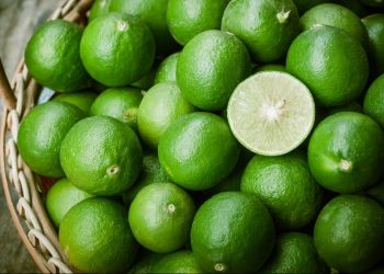 Precios de insumos y fenómenos climatológicos han afectado el precio del limón: Bravo