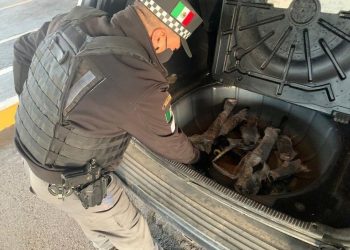 Detienen a estadounidense cuando intentaba ingresar a México fusiles de asalto
