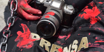 El asesinato de periodistas y el caso Tadeo, síntomas de incapacidad gubernamental: Adriana Díaz