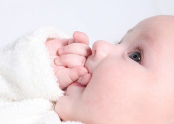Bebés saben quiénes tienen relaciones estrechas, estudio