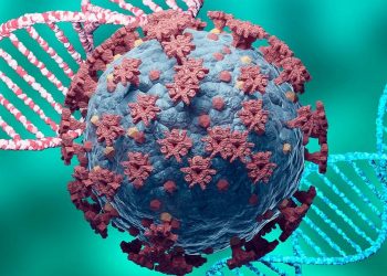 Contagiados con variante beta, serían inmunes a ómicron, revela estudio