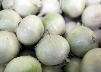 Estados Unidos dice que no hay alerta para cierre de fronteras a cebollas mexicanas