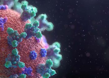 OMS recomienda dar prioridad a investigaciones de la versión BA.2 de ómicron