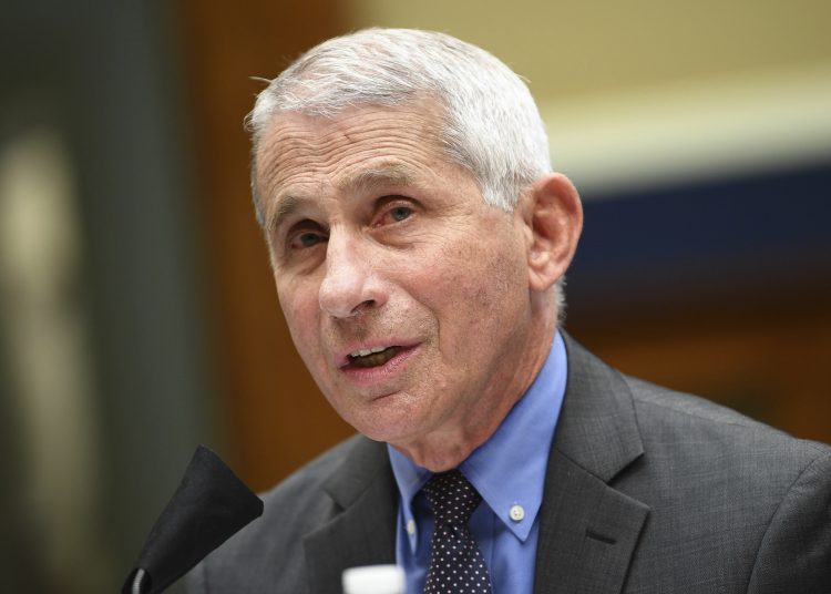 Director of the National Institute of Allergy and Infectious Diseases Dr. Anthony Fauci testifies before a House Committee on Energy and Commerce on the Trump administration's response to the COVID-19 pandemic on Capitol Hill in Washington on Tuesday, June 23, 2020. (Kevin Dietsch/Pool via AP)