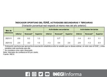 El IOAE prevé una disminución anual del Indicador Global de la Actividad Económica de 0.2% para diciembre de 2021