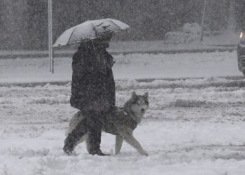 Nevadas en Estados Unidos dejan densas capaz de nieve, cortes de luz y cancelaciones de vuelos