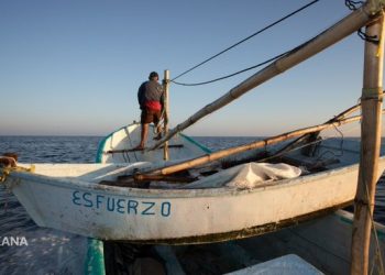 Al menos 300 mil pescadores y sus familias son afectados por la sobreexplotación en las costas: Oceana en México