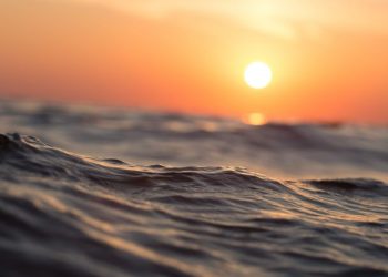 Temperatura de los océanos aumentó a máximos históricos en 2021, asegura estudio