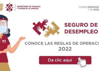 Para acceder al seguro de desempleo se debe acreditar la pérdida del empleo: Rodríguez